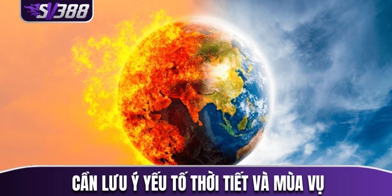 Các yếu tố mùa vụ và thời tiết cũng không kém phần quan trọng
